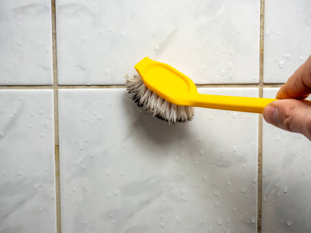 Best Mold Removal Company Near Me  in Yaeyville, NC