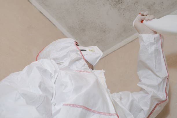 Best Home Mold Removal  in Yaeyville, NC