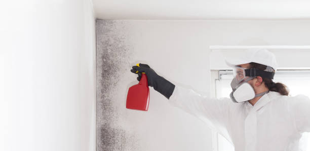 Best Mold Testing  in Yaeyville, NC