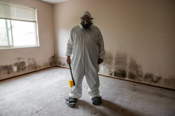 Best Mold Damage Repair  in Yaeyville, NC